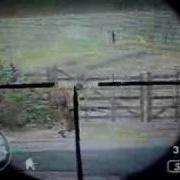 CoD 2 Headshot