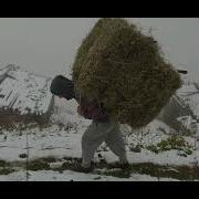 Son Yaylacı