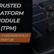What Is TPM In Cybersecurity Trusted Platform Module Explained Simply