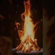 Campfire Simulation Animation Fxsimulation Vfx Course Houdini Course Education Udemy