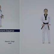 6th Dan Basic Movements Sequence