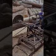 Circular Saw Cutting Huge Wood Amazing Cutting Trending Sawmill Short Ytshorts Crazy Viral
