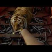 Life Of Pi Flying Fish 20th Century FOX