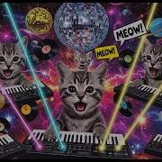 Space Cats Magic Fly Cat Space Animation