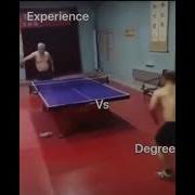 Experience Vs Degree Shorts