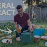 How To Make Water Soluble Calcium WCA WCP Grow STRONGER Plants For FREE