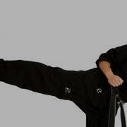 How To Do A Side Kick Taekwondo Training