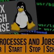 Linux Crash Course Processes And Jobs Monitor Kill Background Jobs Crontab SystemD