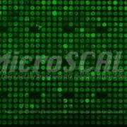 MicroSCALE Stunning Images Display Microarray S Precision And Power
