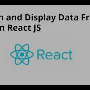 How To Fetch And Display Data From An API In React