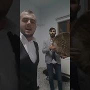 Bir Derdim Var Bin Dermana Değişmem Enes Ceylan
