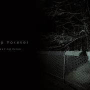 Silent Collision Sleep Forever