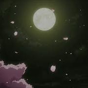 Moonlight Chase Atlantic 8d