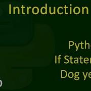 9 Introduction To Python If Statements Dog Years