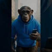 AI Monkey Video Viralvideo Ai Shorts