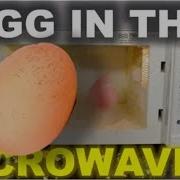 Egg In The Microwave WARNING Explosion