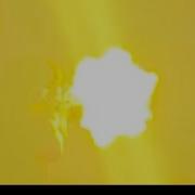 I Shot My Ar 15 5 56 For The First Time MUZZLE FLASH