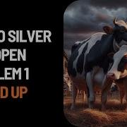 USACO Silver 2017 Open Paired Up Solution Code