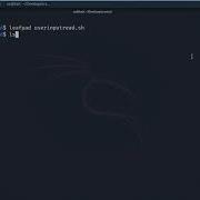 Bash Scripting Reading User Input Read Lab In Linux