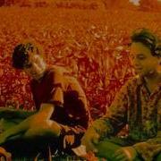 Ween Interview From 1989 On WTSR