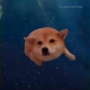 DANK MEME COMPILATION V1 REUPLOAD