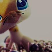 LPS MV Titanium