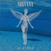Nirvana Very Ape In A Nevermind Kind Of Way