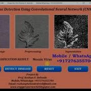Python Code For Plant Leaf Disease Detection Using CNN Convolutional Neural Network Project Code
