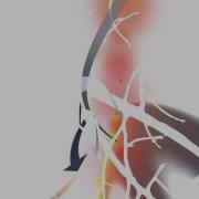 My First Apple Motion Animation Test
