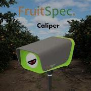 FruitSpec Caliper