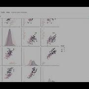 Prediction Using Decision Tree Algorithm