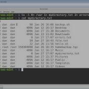 Linux Mint Shell Scripting For Beginners Part 3