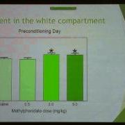 TOP STUDENT TRAINEE ORAL PRESENTATIONS Michelle J Stone