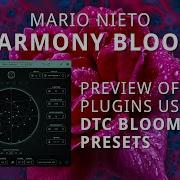 Harmony Bloom демонстрация плагина с предустановленными шаблонами DTC Bloom Vol 1