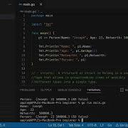 Golang For Beginners Struct Methods And Interface