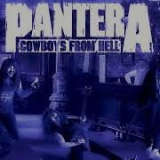 Pantera Shattered D Standart