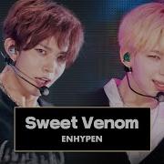 골든 웨이브 ENHYPEN 엔하이픈 Sweet Venom JTBC 240504 방송