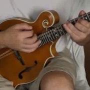Weber Mandolin The Mando Shop Bitterroot F Mandolin