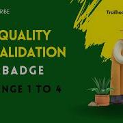 Data Quality And Validation Superbadge Unit Challenge 1 To 4
