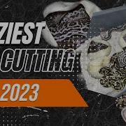 Ball Python EGG CUTTING Awesome Genetics