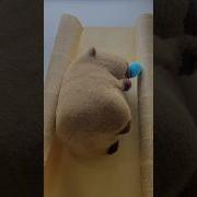 How To Gift Wrap A Plush Toy Giftwrapping Giftwrappingideas Gift