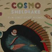 Cosmo Sheldrake Run Rings Right Wrongs