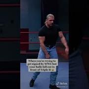 Take A Bump Triple H Shorts Wwe