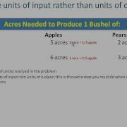 Comparative Advantage Using Inputs
