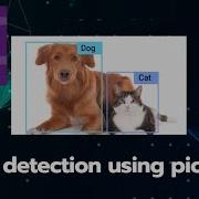 Object Detection Project Using Pictoblox