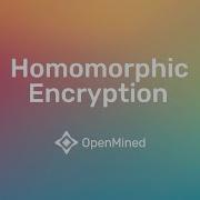OpenMined What Is Homomorphic Encryption