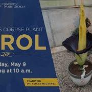 Carol The Corpse Flower Facebook Live Q A