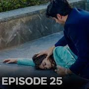 Endless Love Episode 25 Long Version FULL HD