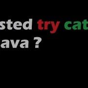 What Is Nested Try Catch In Java