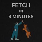 JS Fetch In 3 Minutes